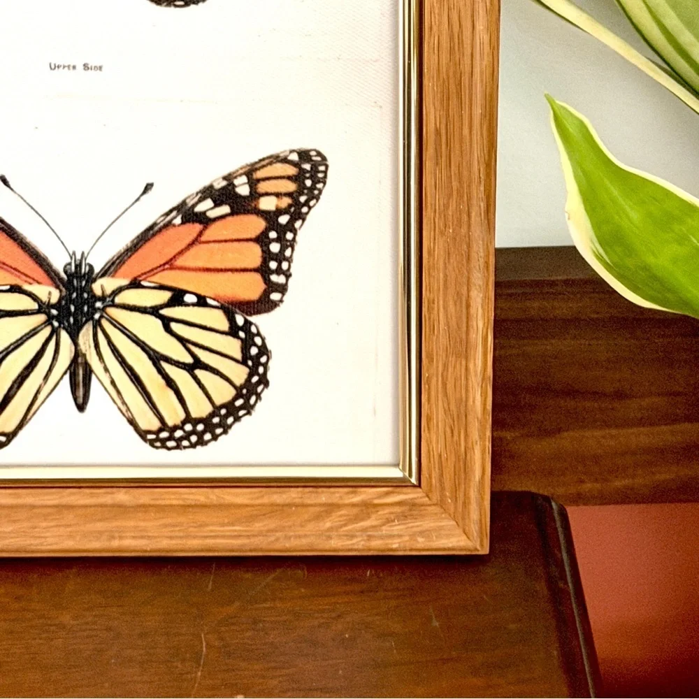Monarch Butterfly Pair Vintage Style Canvas Art Print Wood Framed Wall Hang Art